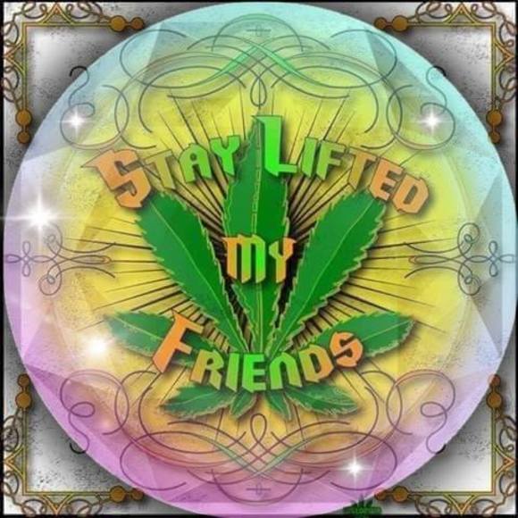 Meet your Posher, Scottarican - Picture 1 of 1